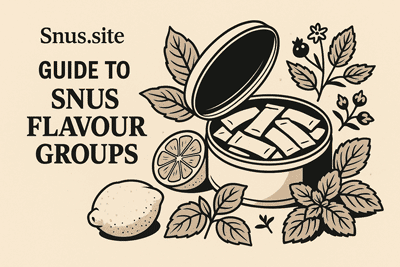 Snus.site Guide to Snus Flavour Groups