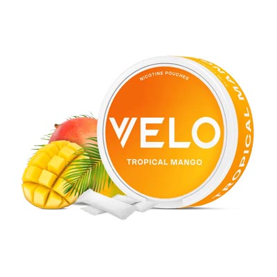 Tropical Mango Flavoured Snus